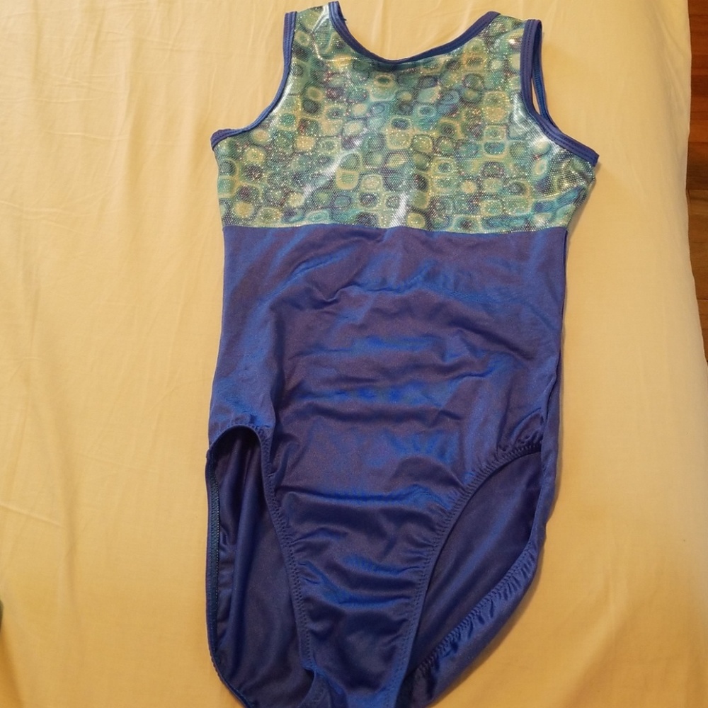 Blue leotard